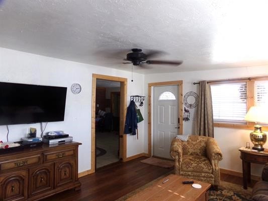 entrance foyer with ceiling fan and dark hardwood / wood-style flooring