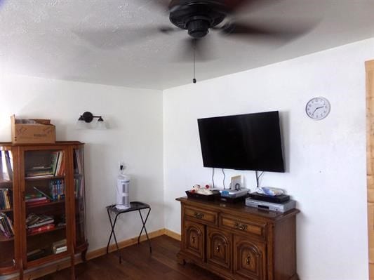 interior space featuring ceiling fan and wood-type flooring