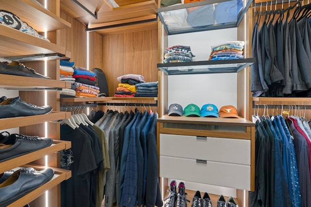 view of spacious closet