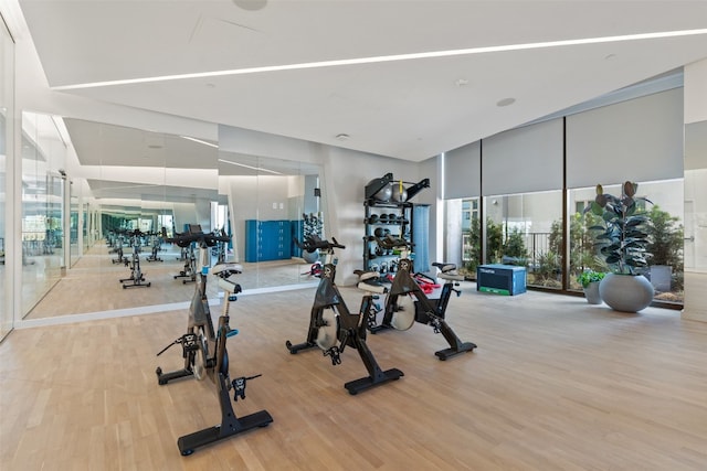 workout area featuring wood-type flooring