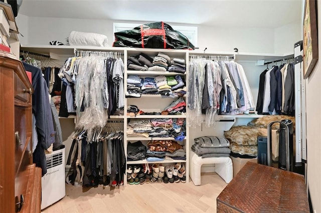 walk in closet with light wood-type flooring