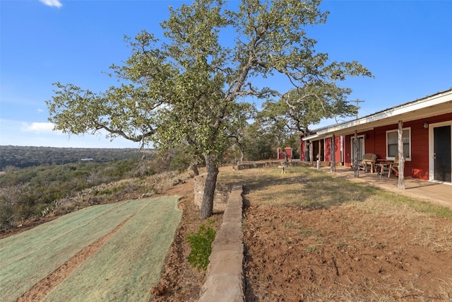 view of yard with a patio area