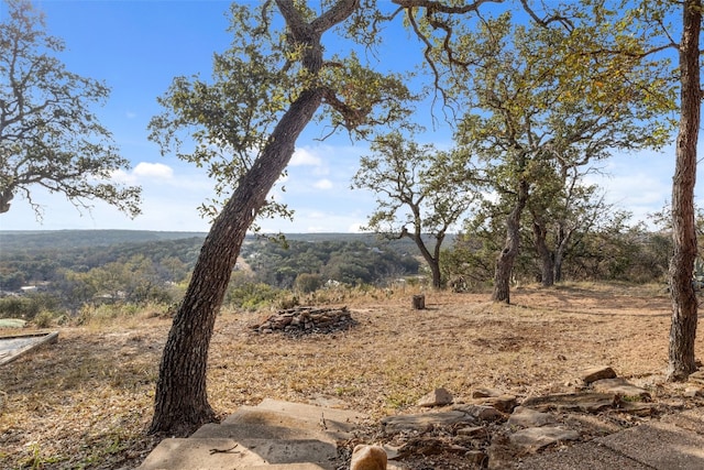 view of local wilderness