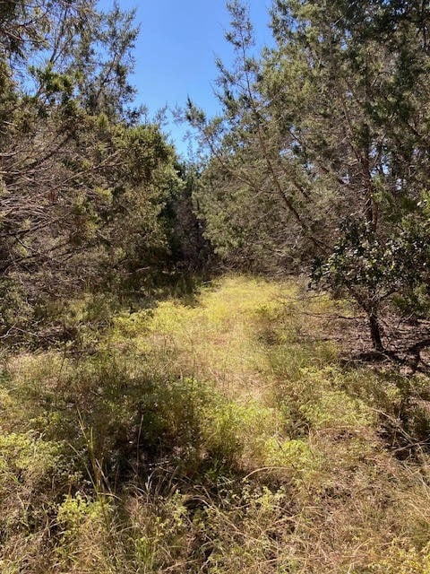 55 York Creek Rd, Driftwood TX, 78619 land for sale