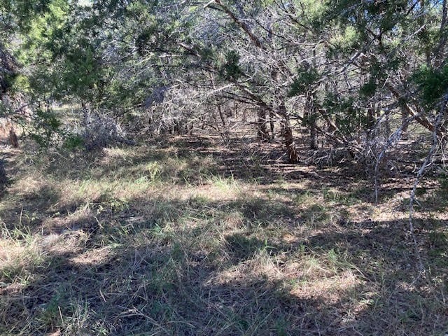 Listing photo 3 for 55 York Creek Rd, Driftwood TX 78619