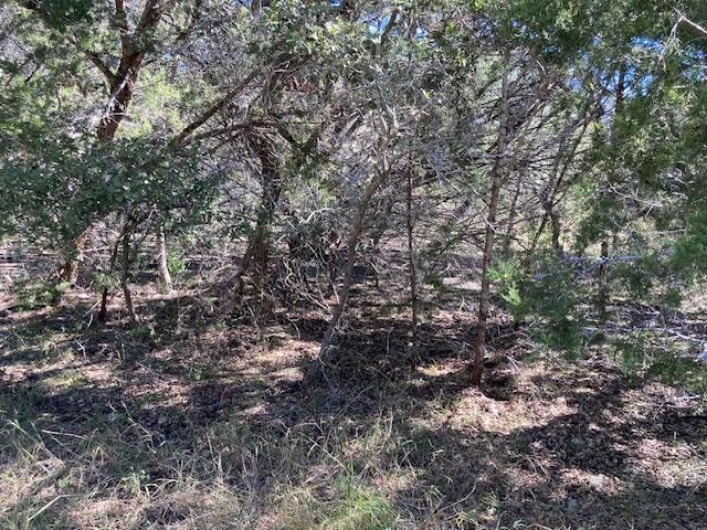 55 York Creek Rd, Driftwood, TX 78619 - photo 4