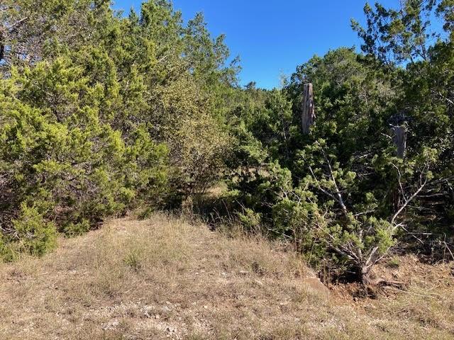 55 York Creek Rd, Driftwood, TX 78619 - photo 7