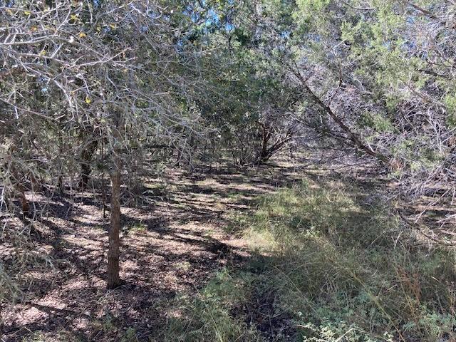 55 York Creek Rd, Driftwood, TX 78619 - photo 10