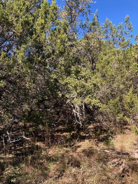 55 York Creek Rd, Driftwood, TX 78619 - photo 16