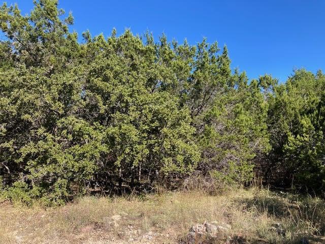 55 York Creek Rd, Driftwood, TX 78619 - photo 19