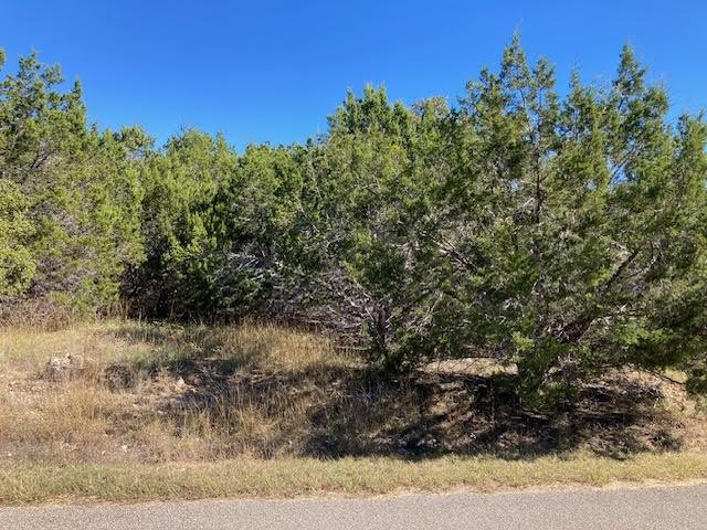 55 York Creek Rd, Driftwood, TX 78619 - photo 20