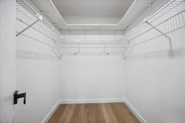 spacious closet with hardwood / wood-style flooring