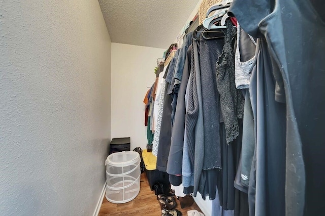 walk in closet with hardwood / wood-style flooring