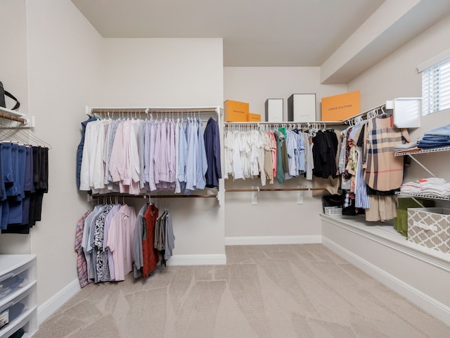 walk in closet with carpet flooring