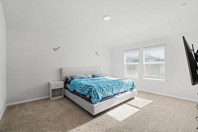 bedroom with carpet flooring