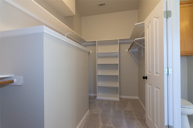 spacious closet featuring carpet