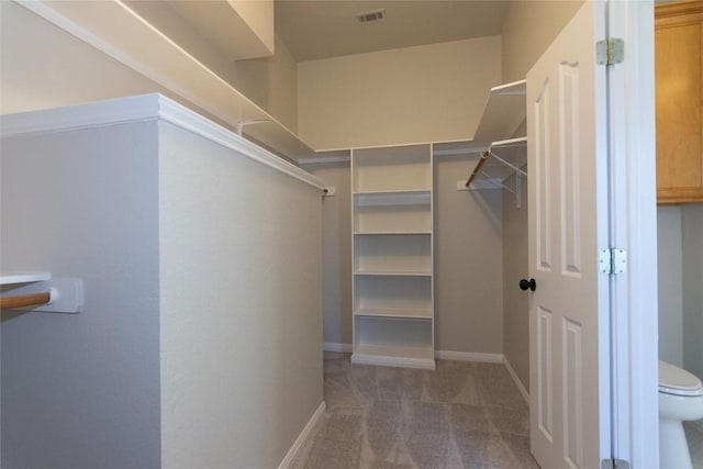 1709 Todd Ln, Cedar Park, TX 78613 - walk in closet featuring carpet floors
