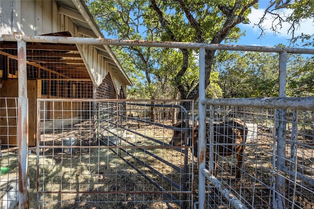 view of horse barn