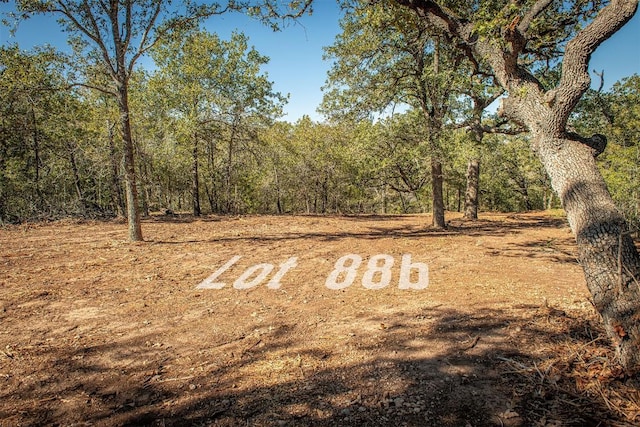 510 Thousand Oaks Unit 88B, Cedar Creek, TX 78612