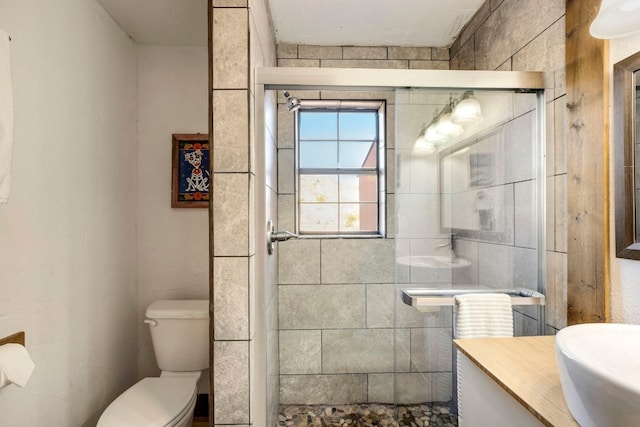 9301 Terlingua Ranch Rd Unit 8025, Alpine, TX 79852 - bathroom featuring vanity, toilet, and a shower with door