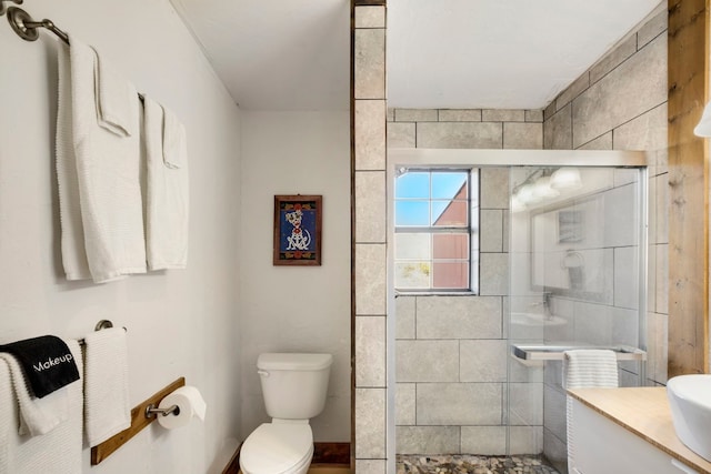 9301 Terlingua Ranch Rd Unit 8025, Alpine, TX 79852 - bathroom with vanity, toilet, and a shower with door