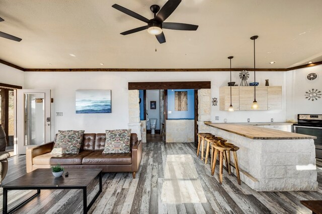 9301 Terlingua Ranch Rd Unit 8025, Alpine, TX 79852 - living room featuring ceiling fan, dark hardwood / wood-style flooring, and ornamental molding