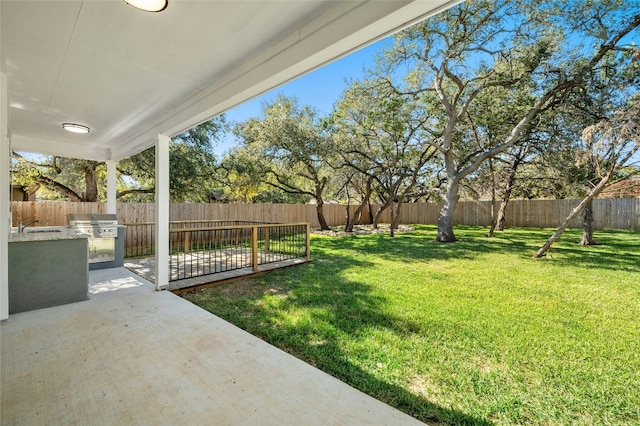 view of yard featuring an outdoor kitchen and a patio