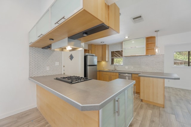 kitchen featuring hanging light fixtures, light hardwood / wood-style flooring, appliances with stainless steel finishes, tasteful backsplash, and kitchen peninsula