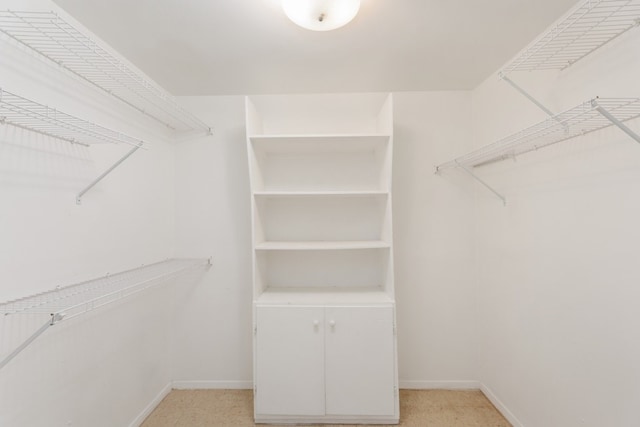 spacious closet with light colored carpet