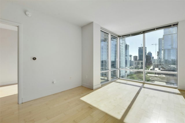 unfurnished room featuring light hardwood / wood-style floors and expansive windows