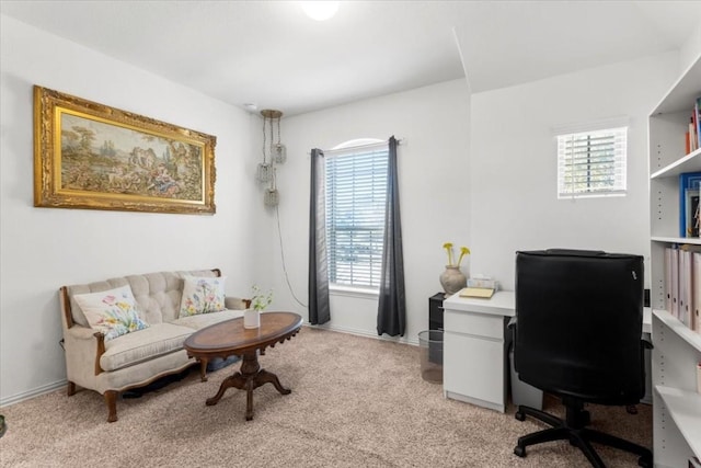 1440 Morning View Rd, Georgetown, TX 78628 - home office featuring plenty of natural light and light carpet