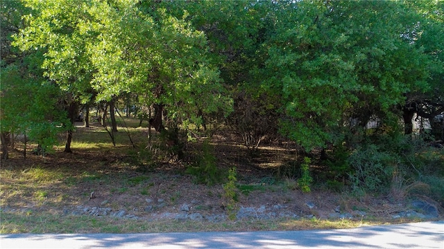 306 Cargill Dr, Spicewood, TX 78669 - photo 11