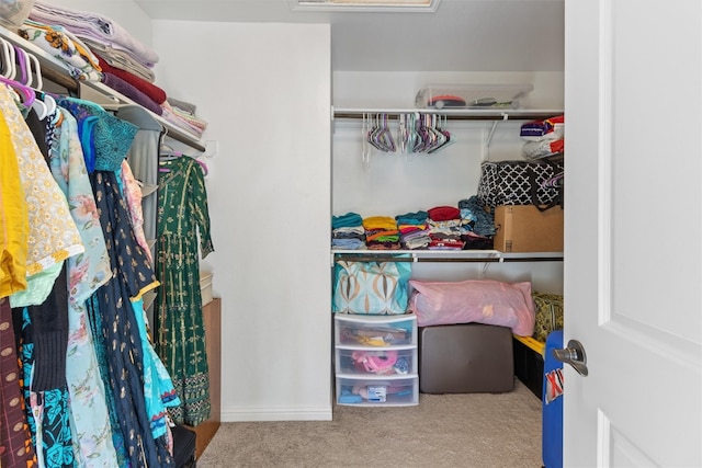 walk in closet with carpet flooring