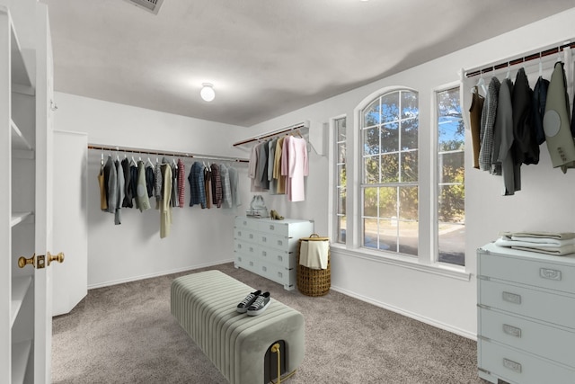 walk in closet with carpet flooring