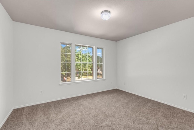 empty room featuring carpet