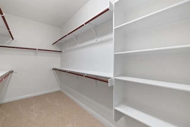 spacious closet featuring light carpet