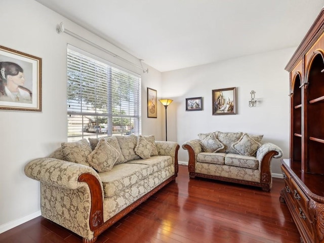 living room with dark hardwood / wood-style floors