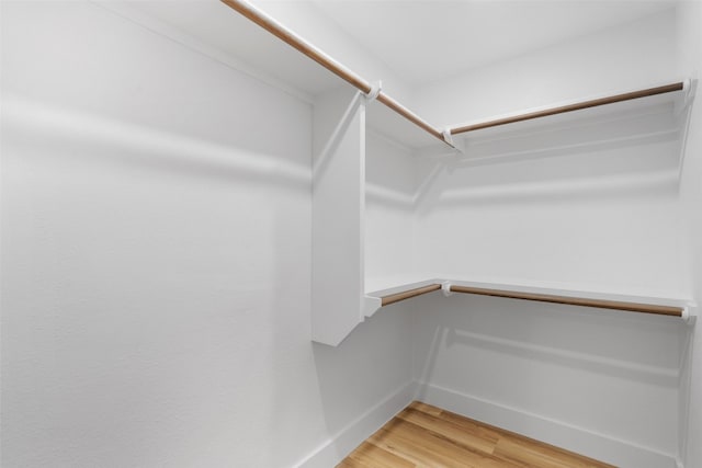 walk in closet featuring hardwood / wood-style floors