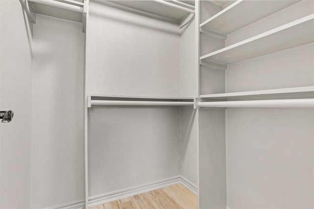 walk in closet with wood-type flooring