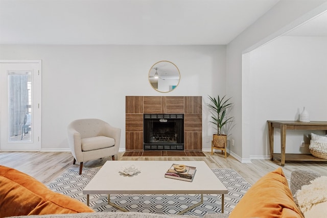 living room featuring a fireplace and light hardwood / wood-style flooring