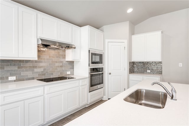 kitchen with sink, white cabinets, stainless steel appliances, and ventilation hood