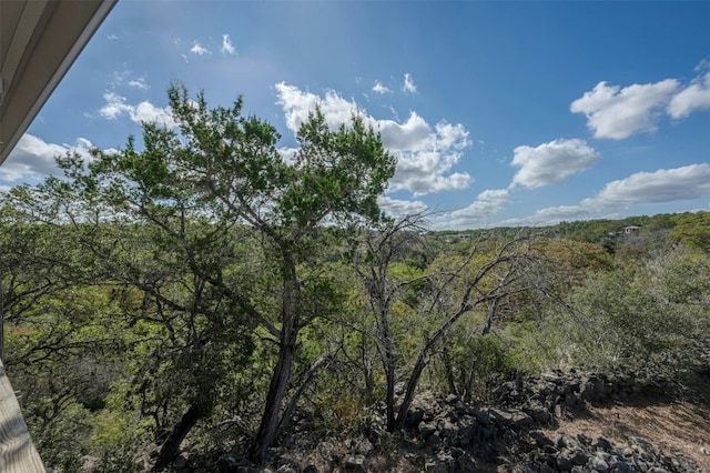 view of local wilderness