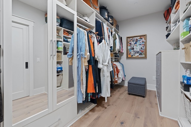 spacious closet featuring light hardwood / wood-style floors