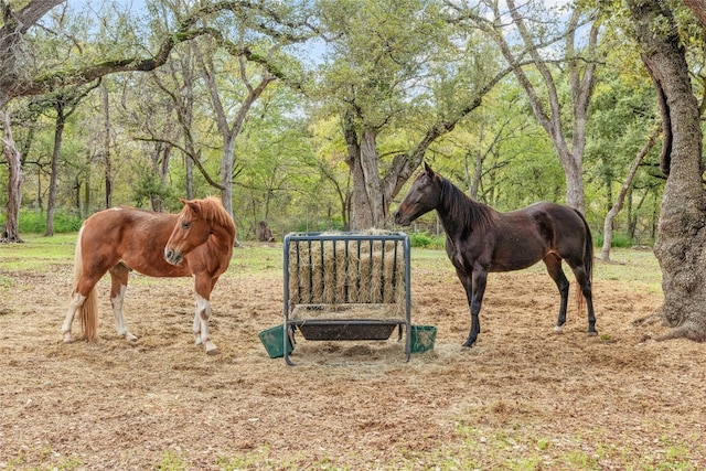 view of stable