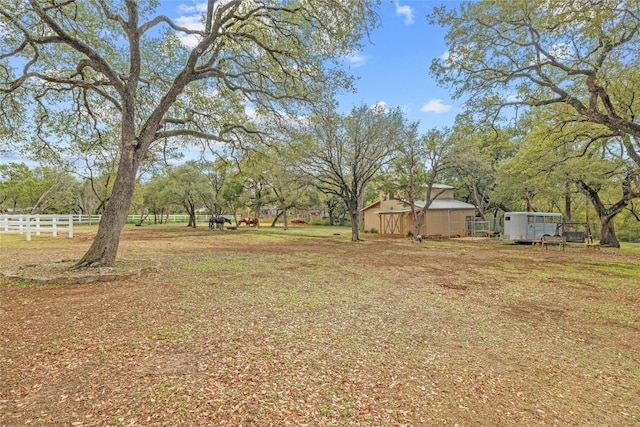 view of yard with a storage unit