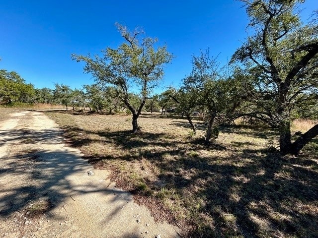 view of local wilderness with a rural view