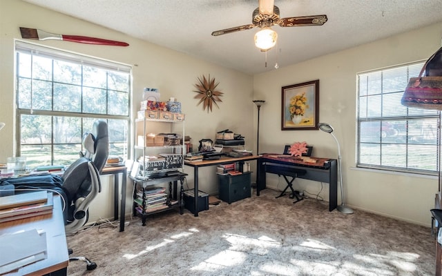 carpeted office space with a textured ceiling, a wealth of natural light, and ceiling fan