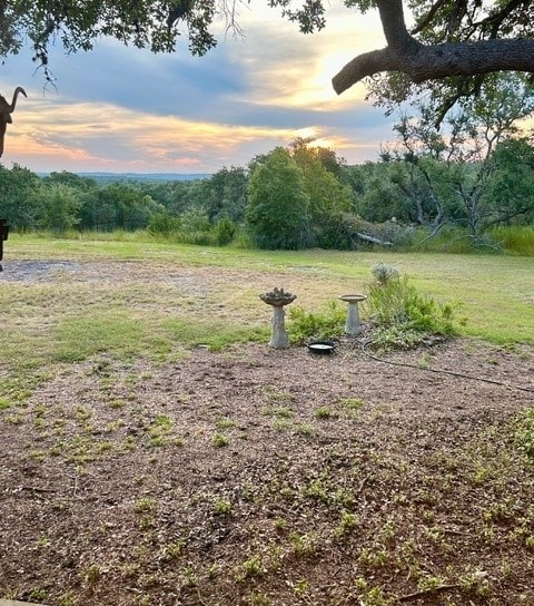 view of yard at dusk