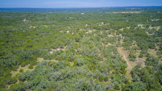 475 Fischer Trl, Wimberley, TX 78676 - photo 7