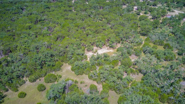 475 Fischer Trl, Wimberley, TX 78676 - photo 20